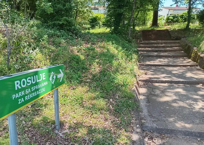 Rosuje